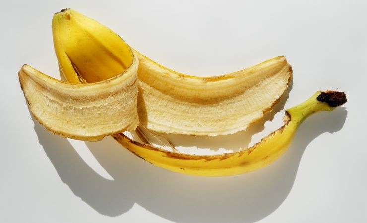 buccia banana piante rigogliose