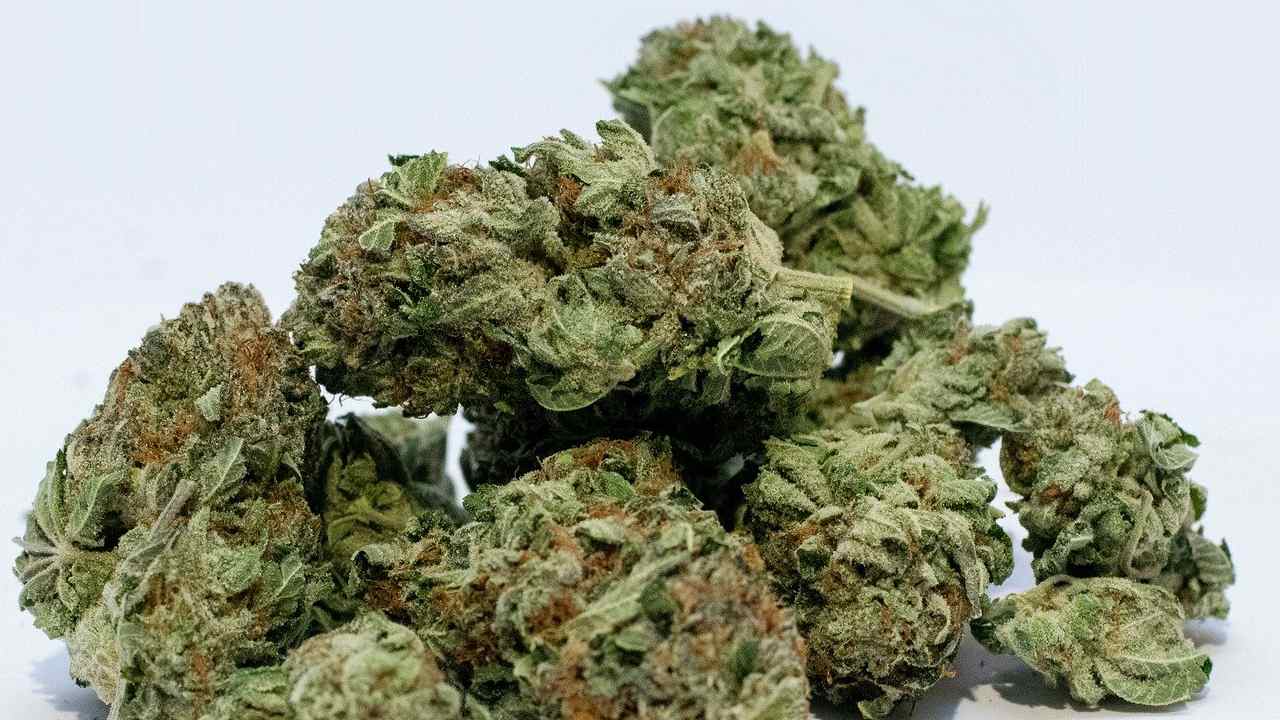 Marijuana droga (pixabay)