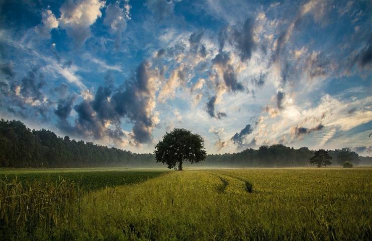 Bambino muore campagna