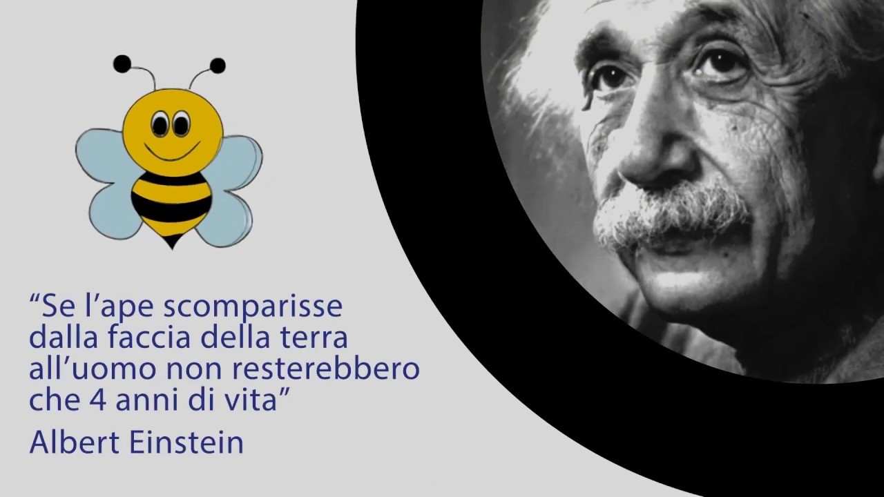 Api Einstein 