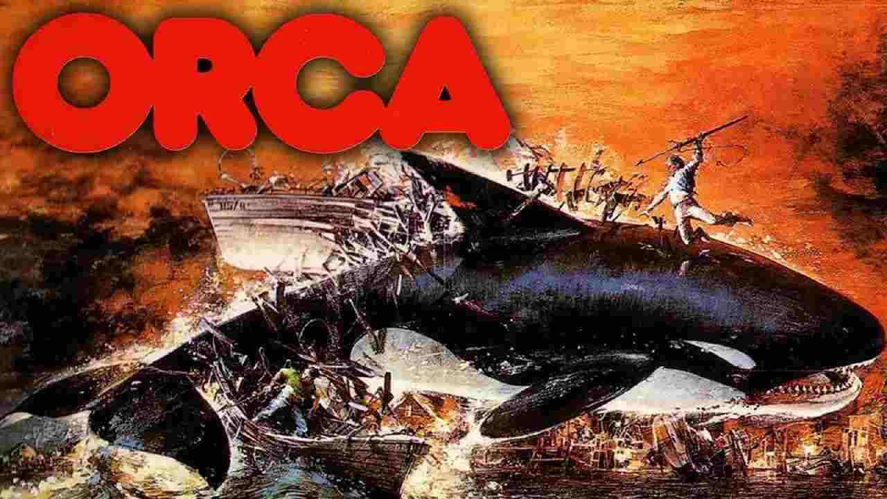 Orca assassina