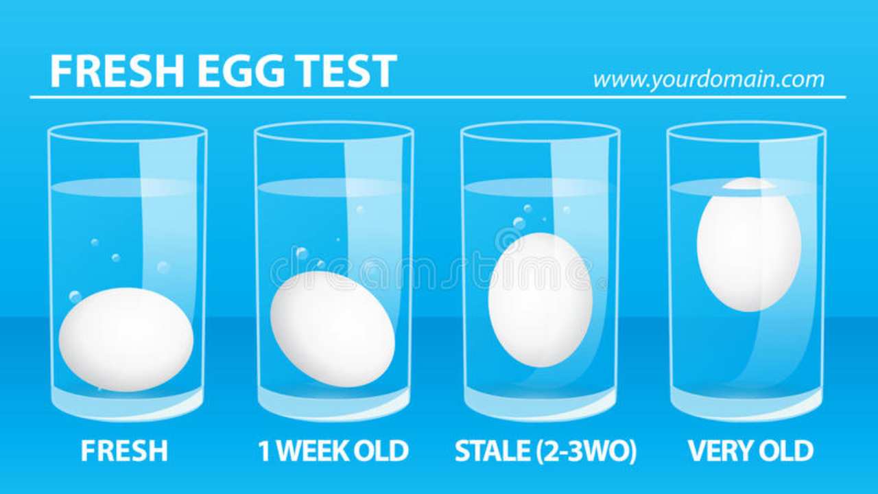 Test uovo acqua