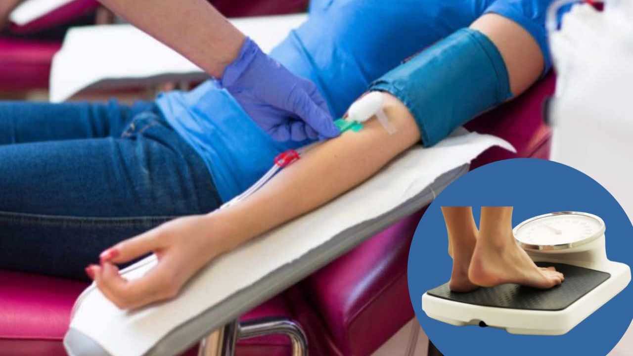 donare sangue dimagrire (foto web)