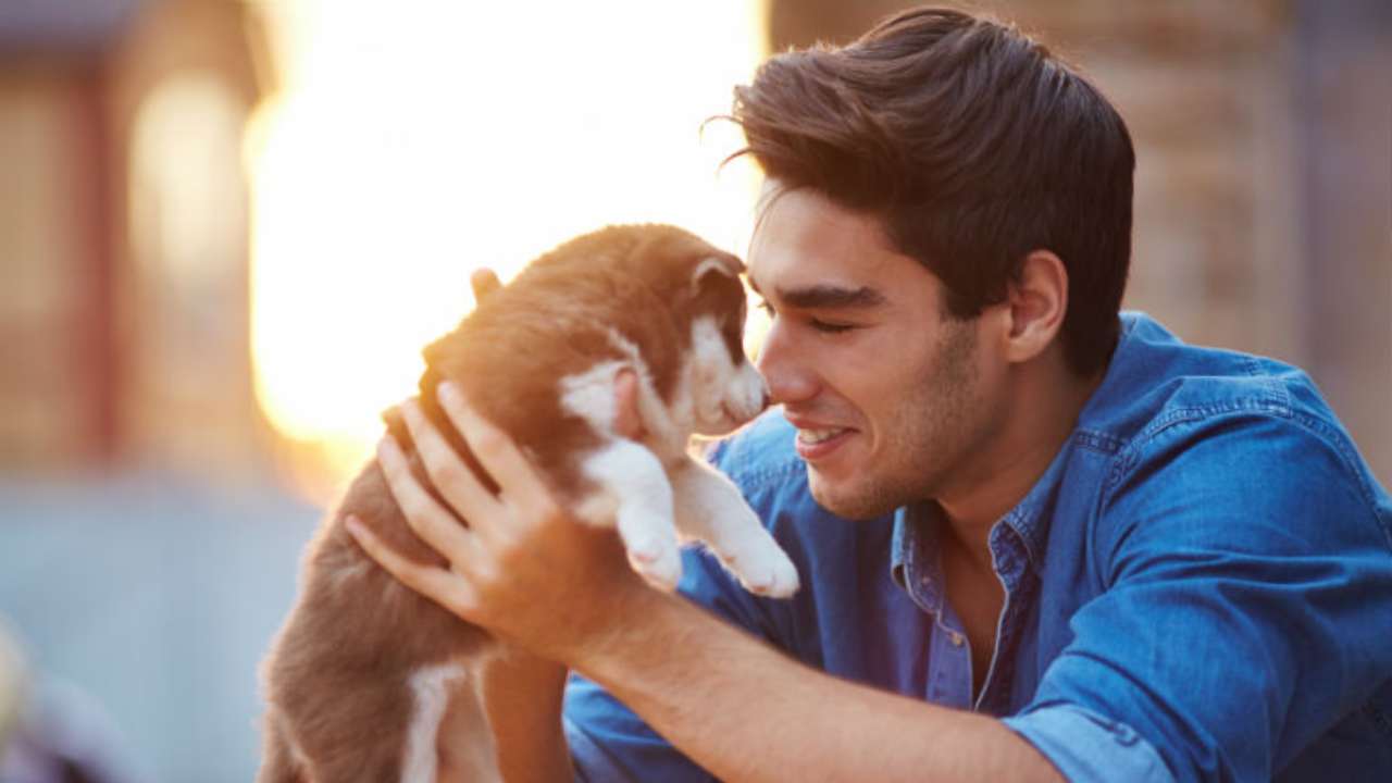 Cane amico dell'uomo