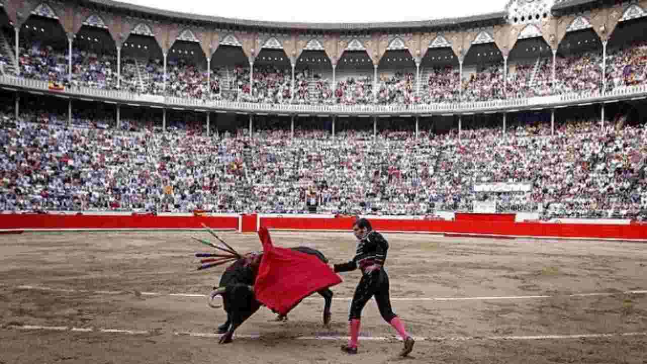 Corrida arena