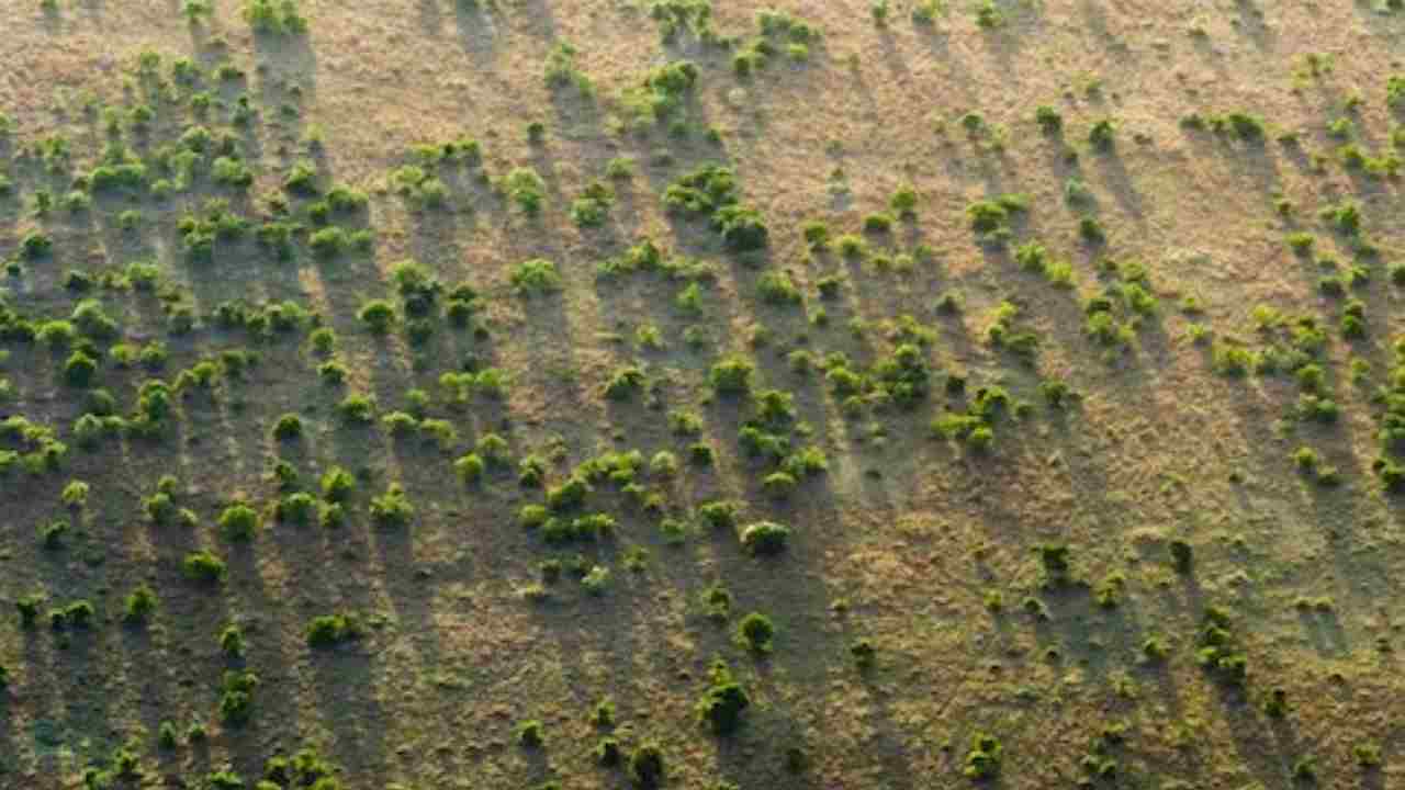 Grande Muraglia Verde chesuccede20220622