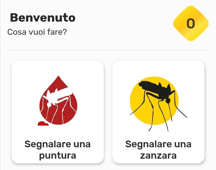 Screen App Mosquito chesuccede 20220621