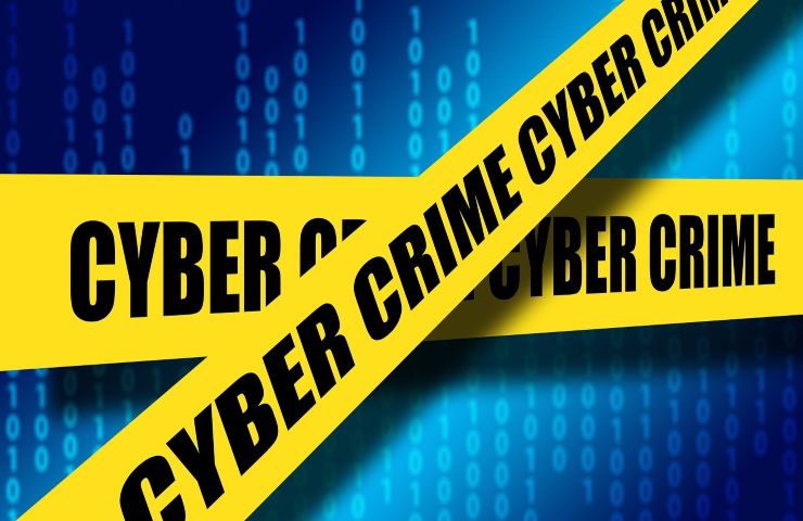 crash internet cyber crime