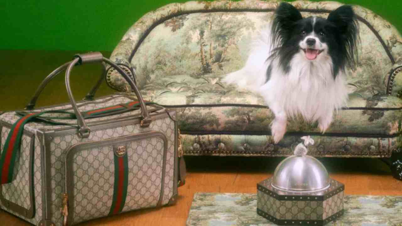 Gucci Pet Collection (Courtesy Gucci Official) 