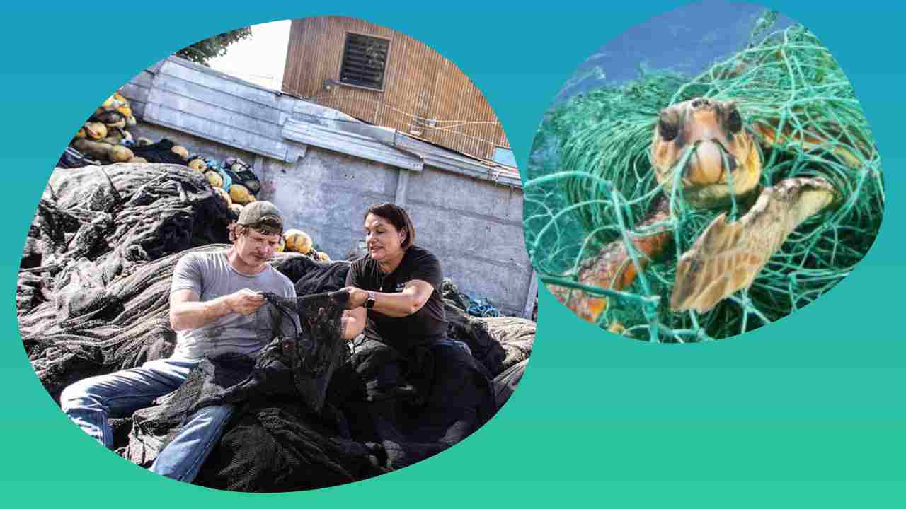 Inquinamento reti da pesca (Chesuccede)