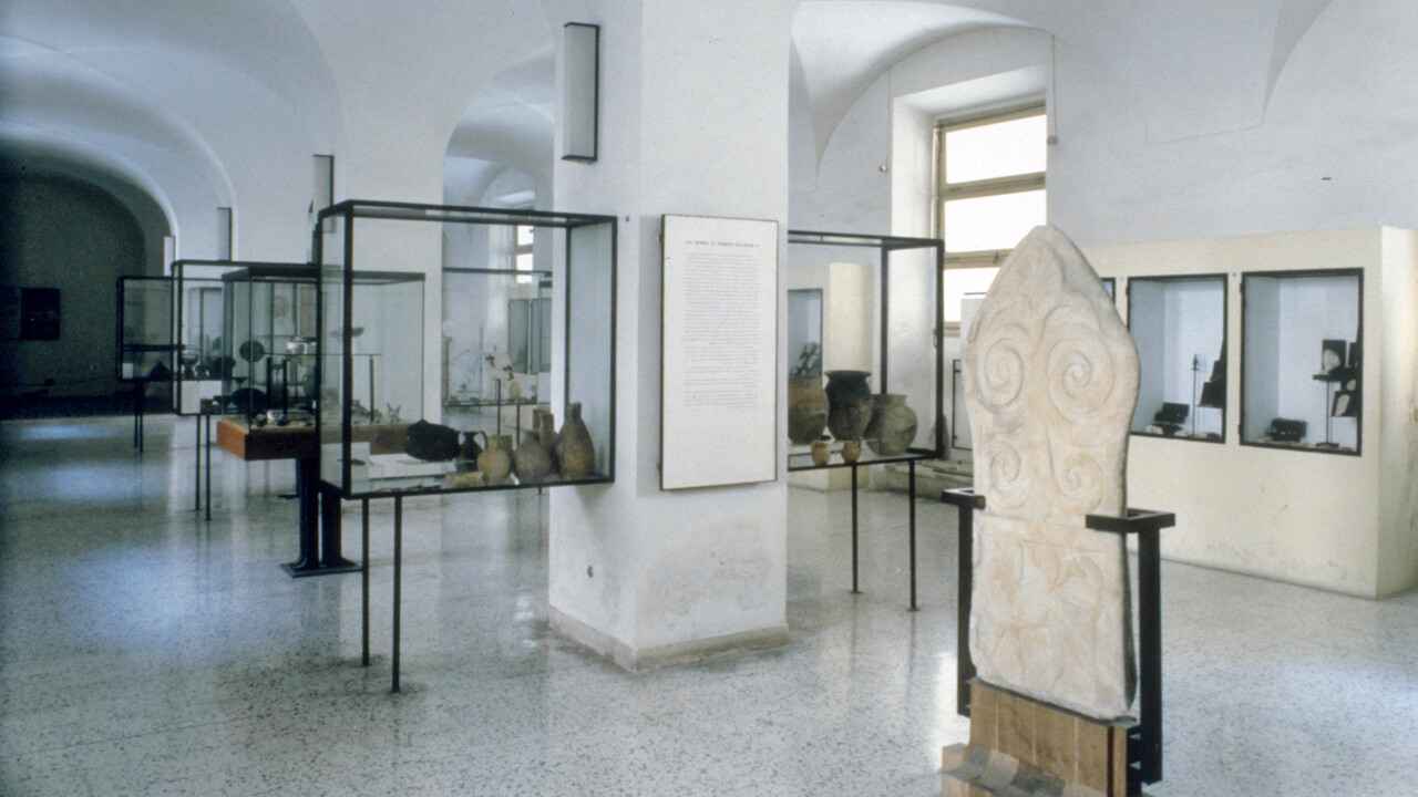 Museo(chesuccede23/07/2022)