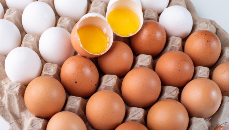 Dipendenti mangiavano uova crude se non riuscivano a finire il lavoro