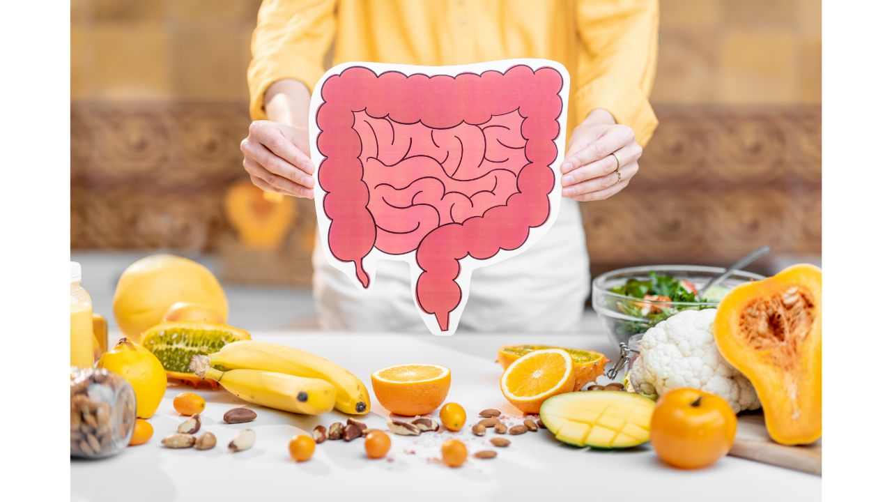 Alimentazione intestino 