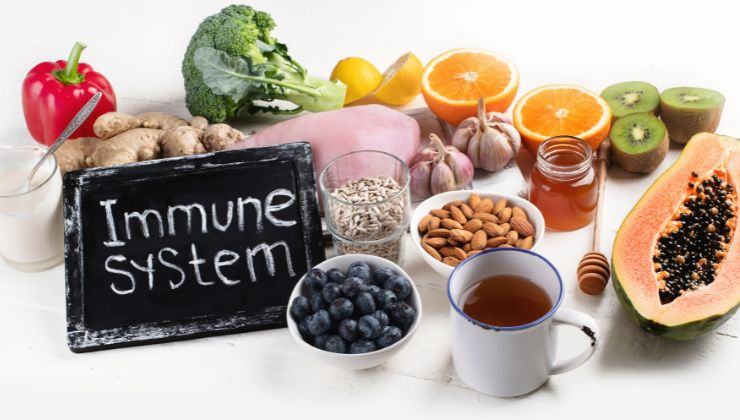 Alimentazione sistema immunitario