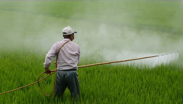 Pesticidi in aumento 