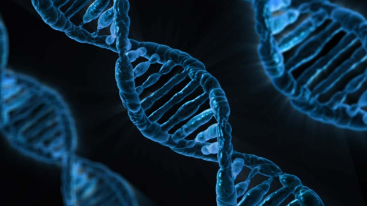 Il Dna risolve un caso