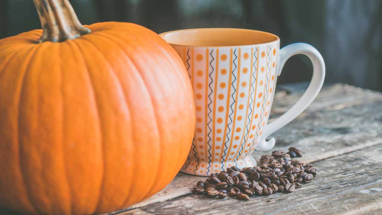 Ecco come cucinare la zucca