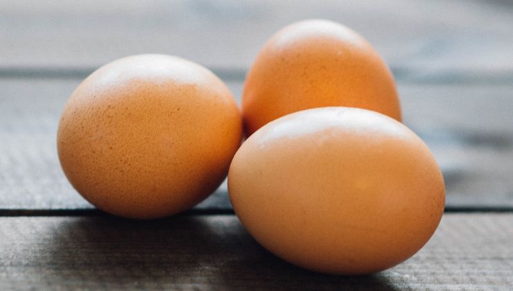 Storia delle uova