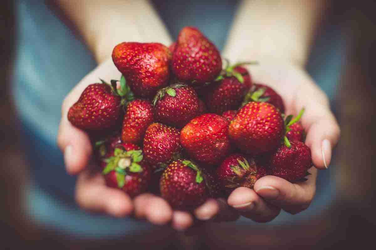 fragole cinque curiosità